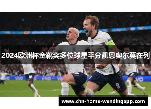 2024欧洲杯金靴奖多位球星平分凯恩奥尔莫在列